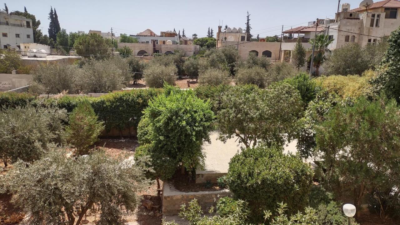 Black Iris Madaba
