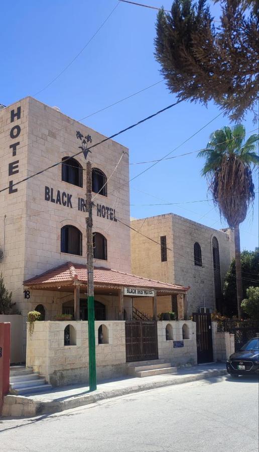 Black Iris 3* Madaba